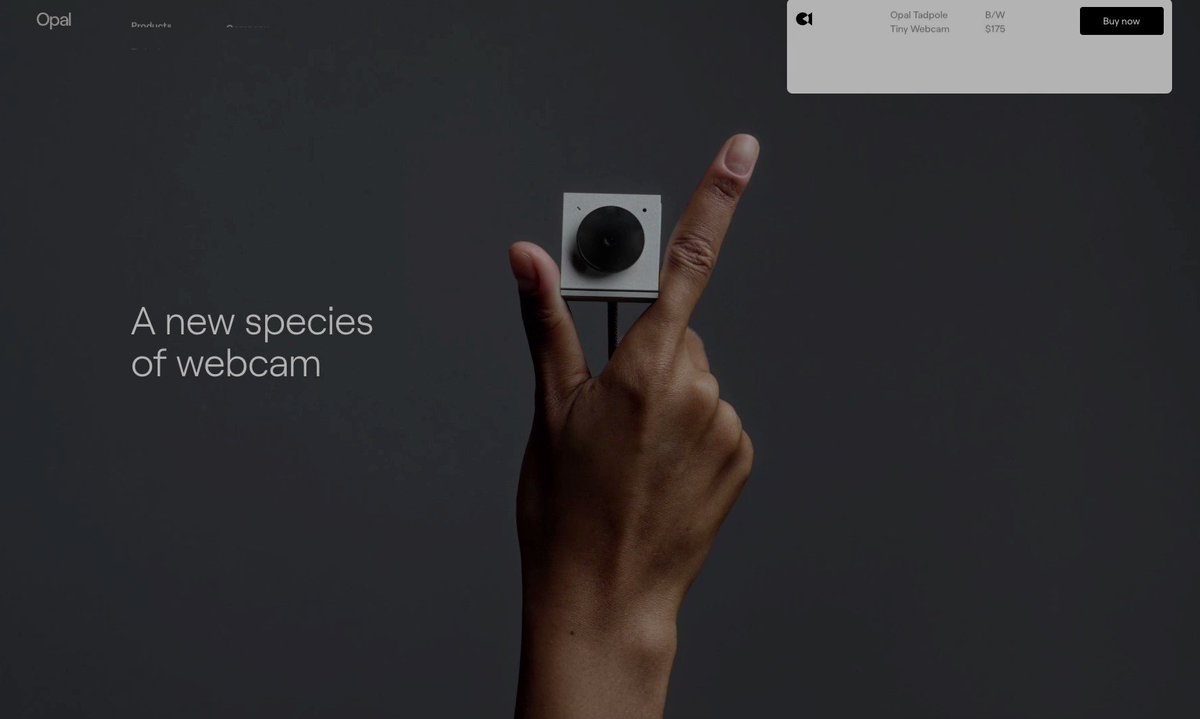 Opal Tadpole — a new species of webcam