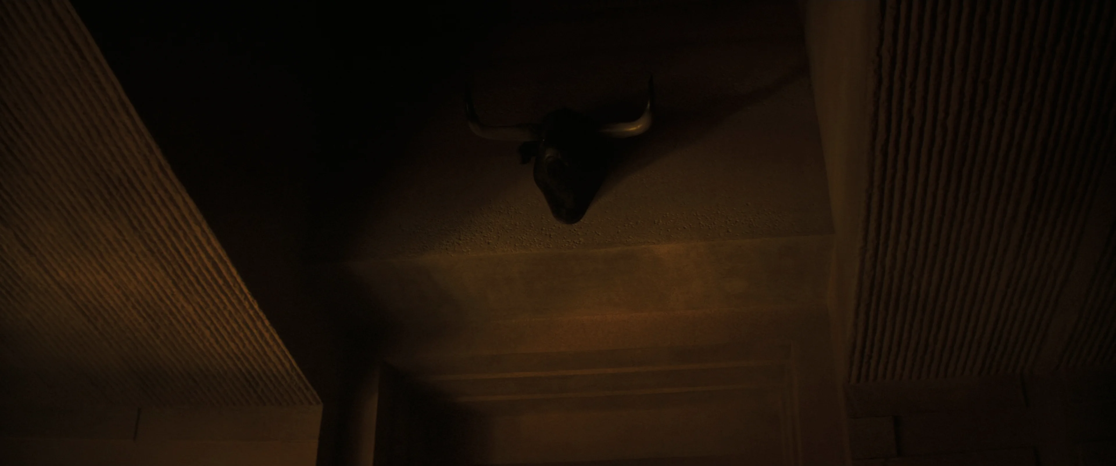 Dune, the Atreides bull head in shadow