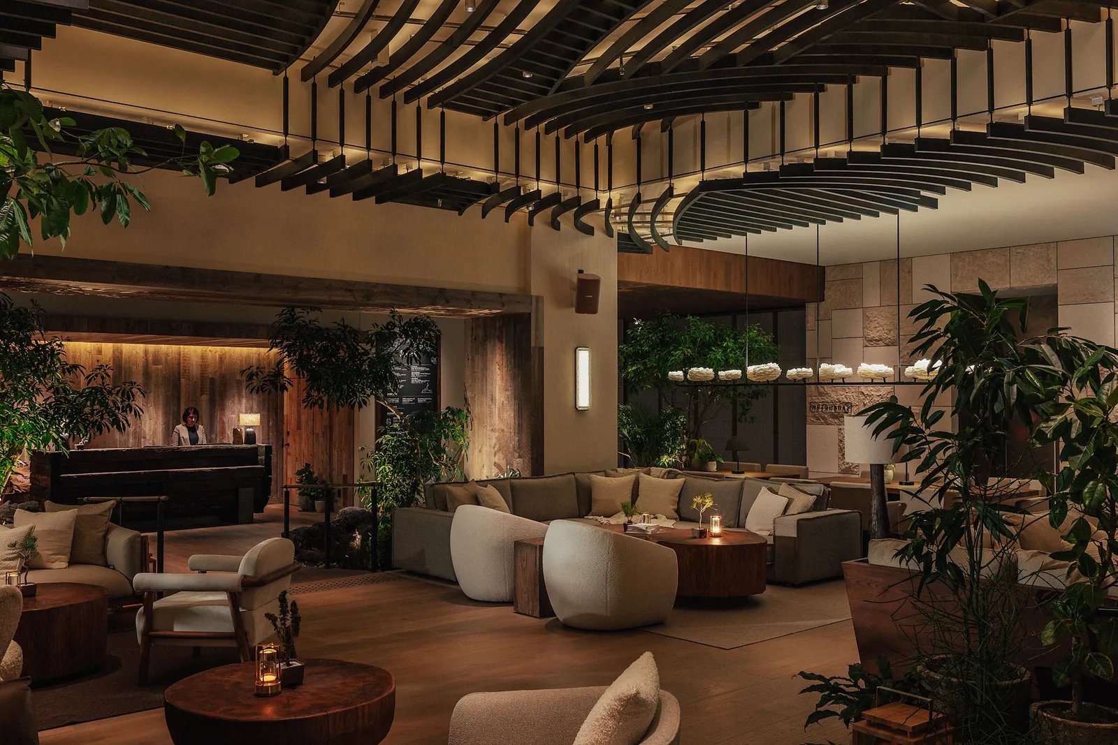 Hotel lobby under curved timber ribs