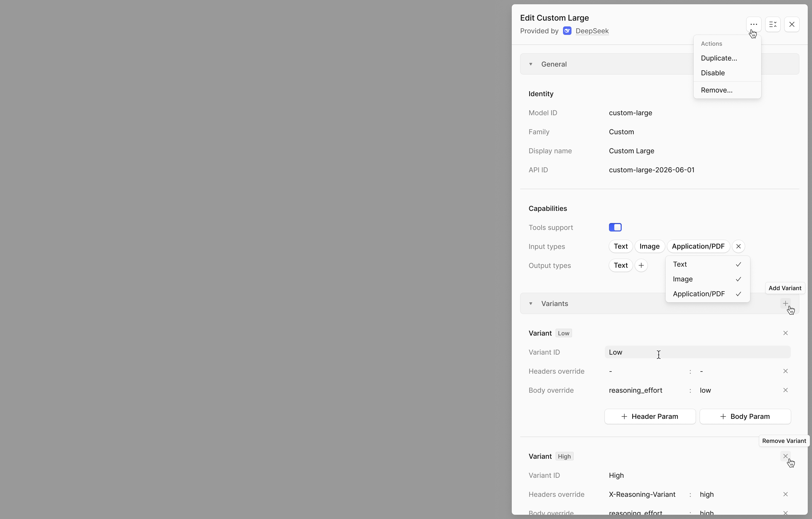 Custom model variant editor