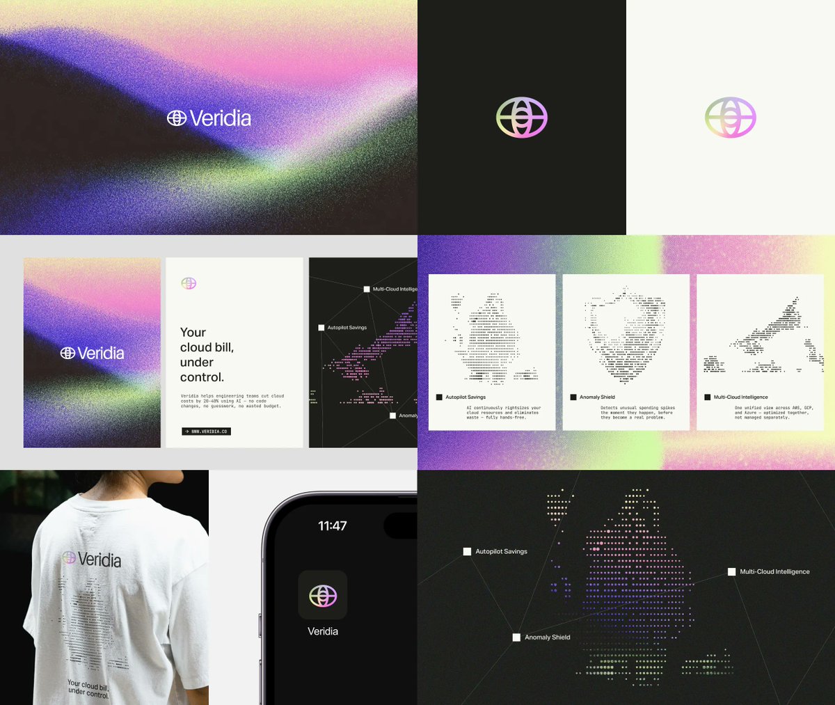 Veridia — cloud-cost brand identity