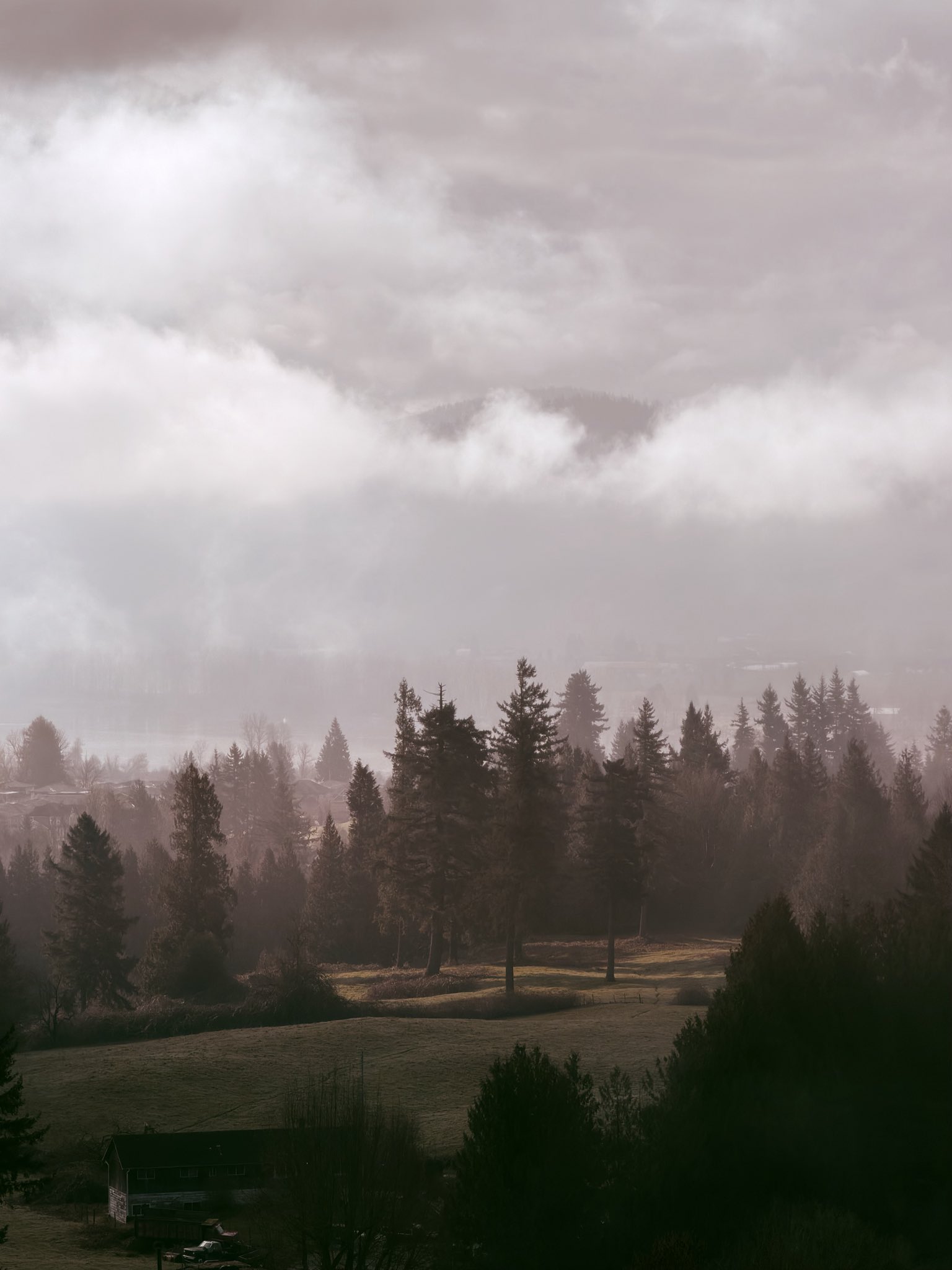 Fog over a forested valley